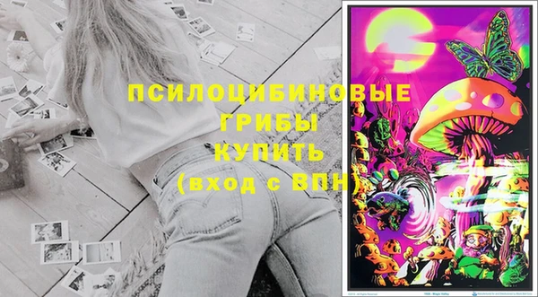 jwh Богородицк