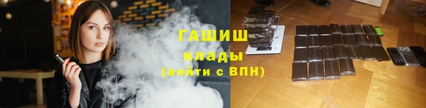 дмт Бородино