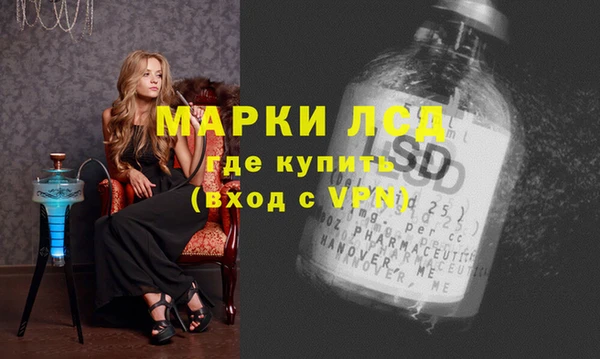 дмт Бородино