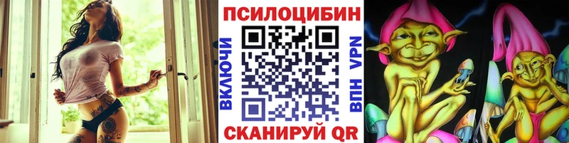 Купить Отрадное Галлюциногенные грибы Magic Shrooms