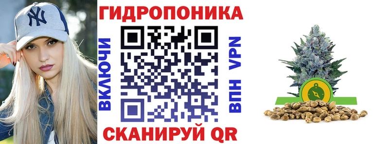 Купить закладки  Отрадное  Каннабис сатива 